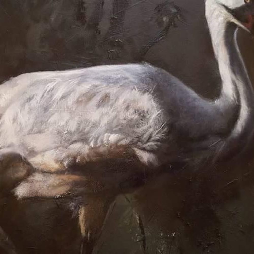 Meet your Posher, Nikki